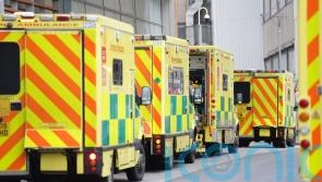 Health Secretary says ambulance strike cover was not enough to keep public safe
