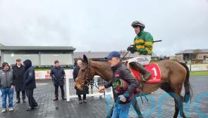 Impervious impresses with gutsy Punchestown success