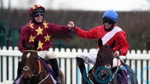 De Bromhead charting direct Cheltenham route for Gold Cup duo