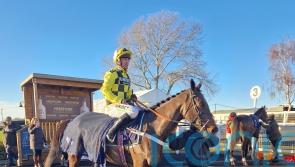 Chief in charge for Henderson at Hereford
