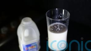 Drinking milk made ancient humans heavier and taller, study finds