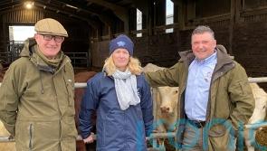 Former Marines join farming charity to deliver mental health first aid