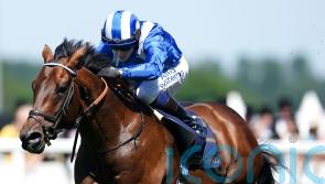 Baaeed the world’s best on turf – and only Flightline ranked higher
