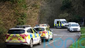 Two people taken to hospital and cow put down after A9 crash