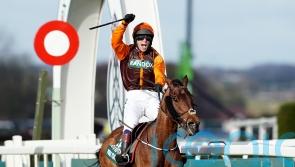 Noble Yeats forced to miss Lingfield engagement