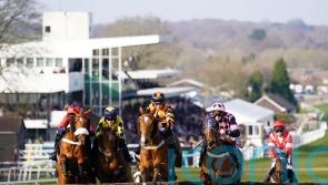 Weather woes continue as frost claims Plumpton card
