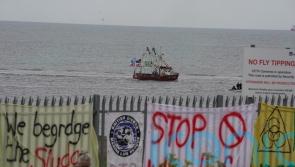 ‘Exceptionally unlikely’ crab deaths caused by freeport dredging, report says