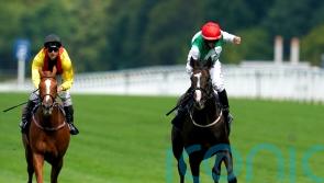 Winter Derby-bound Pyledriver still Dwyer’s ride when he returns from injury