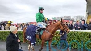 No anchoring HMS Seahorse at Navan