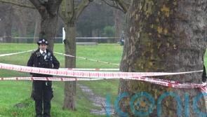 Two teenagers appear in court charged with murder after man stabbed in park