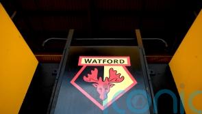 Benfica striker Henrique Araujo joins Watford on loan