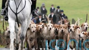 Bill intended to tighten laws over hunting with dogs set for final vote