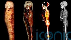 Mummified ‘golden boy’ found with 49 amulets to speed journey to afterlife
