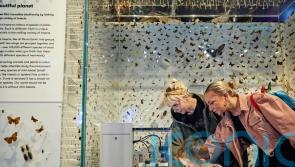 Museums unite in UK’s largest art collaboration to inspire environmental change