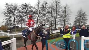 Doctor Bravo stars in Down Royal double for Elliott