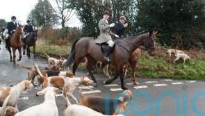 ‘Monumental day’ as Holyrood passes new laws on hunting with dogs