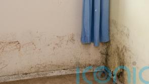 Householders warned of cold-callers claiming to deal with toxic mould