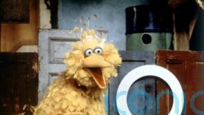 Sesame Street co-founder Lloyd Morrisett dies at the age of 93