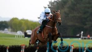 Honeysuckle ready for Irish Champion Hurdle defence