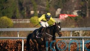 Good Land hunting Grade One gold at Leopardstown