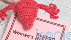 Reproductive medicine expert appointed women&rsquo;s health champion