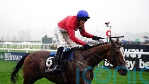 Sir Gerhard enters Cheltenham reckoning after victorious return