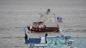 We may never know what caused mass crab deaths, says environment minister