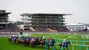 Cheltenham to inspect on Friday for Trials Day