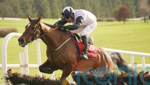Teahupoo advertises Stayers’ claims with Galmoy glory