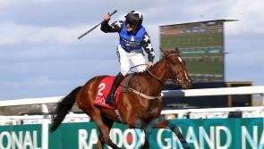 Connections hoping Diamond can sparkle at Fairyhouse