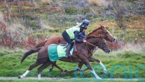 Beep Beep Burrow primed for Doncaster debut