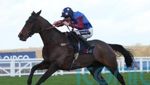 Cleeve king Paisley Park back for more at Cheltenham