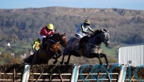 Harris backing Scriptwriter to produce winning performance