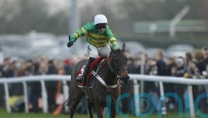 De Boinville expecting Epantante to bloom in Yorkshire Rose