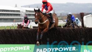 Waterford jockey wins first Grade One race on board Editeur Du Gite