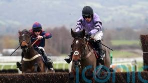Stage Star produces fine performance off top-weight at Cheltenham