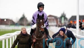 Stage Star leads Cheltenham hat-trick for jubilant Nicholls