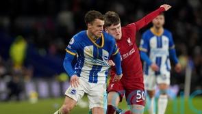 Brighton boss Roberto De Zerbi tells Solly March to ‘attack the space better’