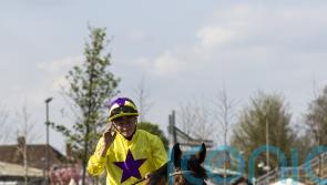 My Prospero firing Marquand dreams in big year ahead