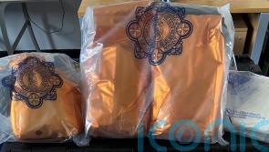 Cocaine seized by police in Co Wicklow