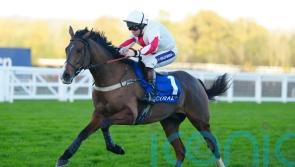 Goshen back for second try over the larger obstacles at Lingfield
