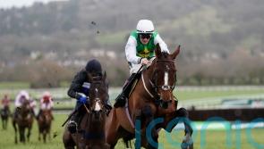 Weveallbeencaught poised for Leopardstown raid