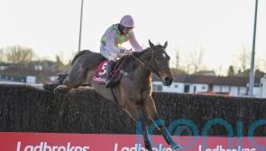 Williams taking direct Gold Cup route with Royale Pagaille