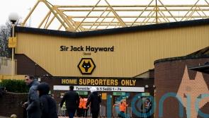 Joao Gomes joins Wolves