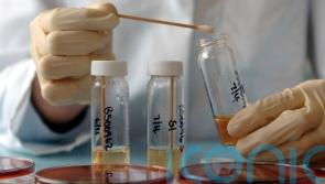 Probe after salmonella found in eight poultry flocks