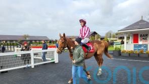 Diverge books Supreme ticket with Punchestown romp