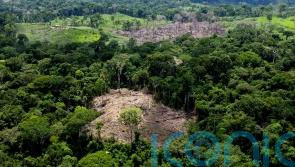 Germany pledges £179m to help preserve Brazil’s rainforest