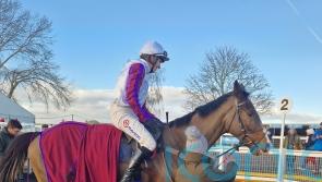 Half Dozen reasons to be happy for Nicholls at Hereford