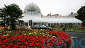 Teenager in stable condition after Botanic Gardens stabbing