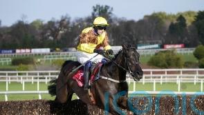 Galopin Des Champs on course to cement Gold Cup claims